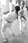 Ju-Jutsu
