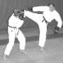 Ju-Jutsu